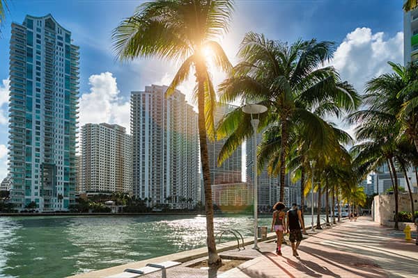 Miami Promeneurs