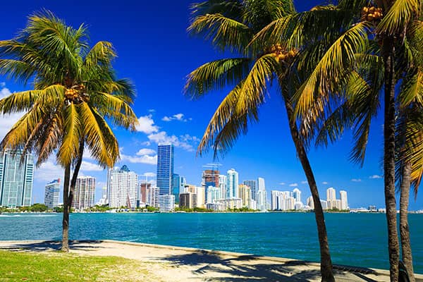 Miami Skyline
