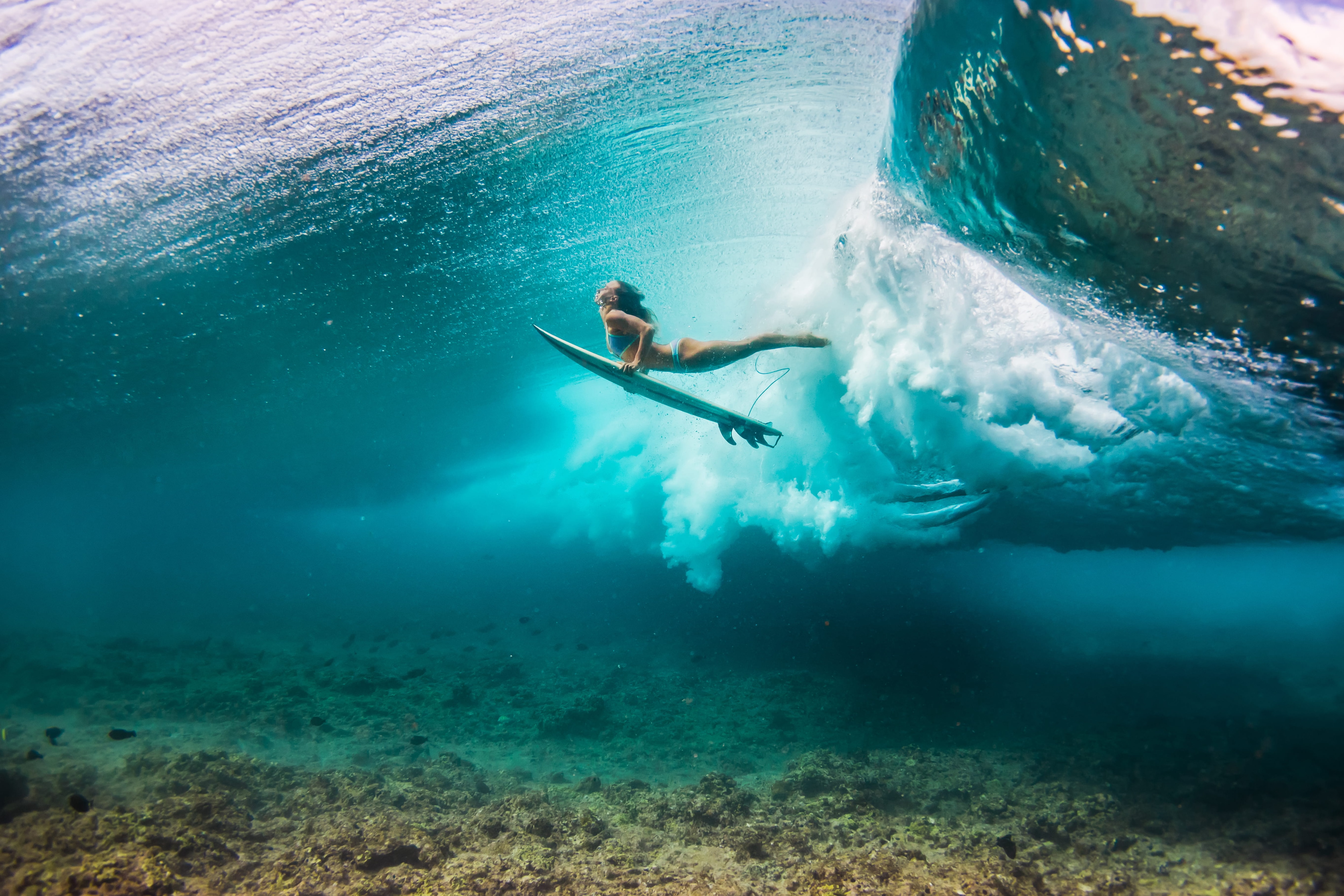 Surf aux Maldives