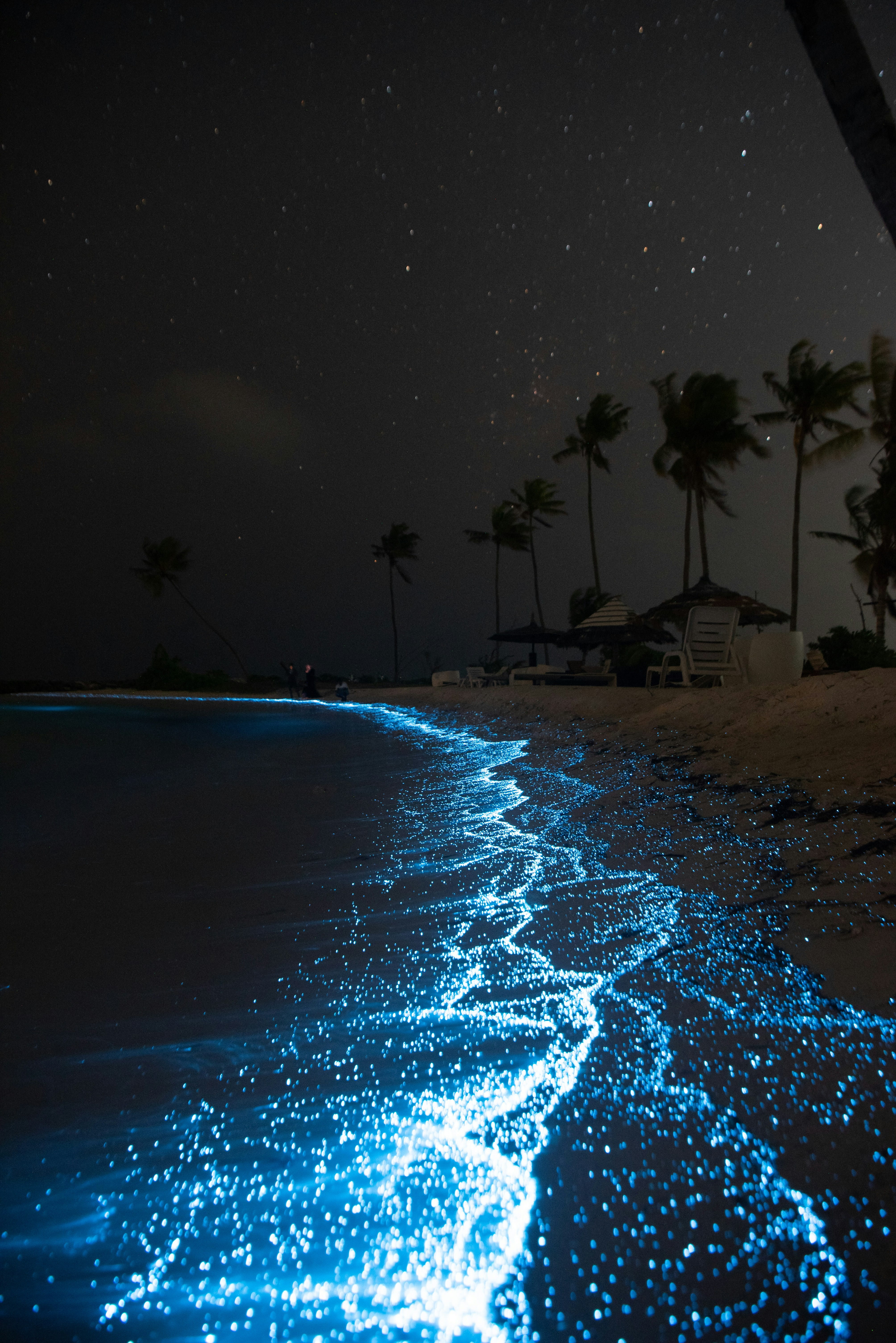 Plage bioluminescente de nuit aux Maldives
