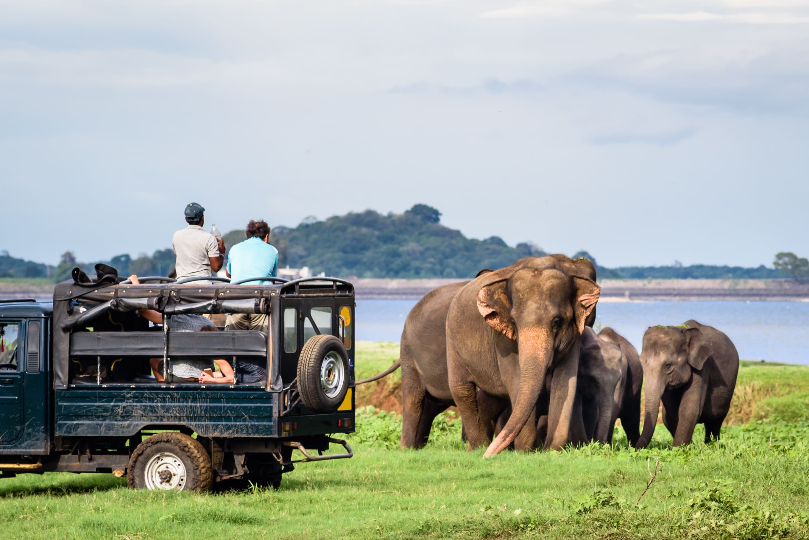 Safari en famille au Sri Lanka